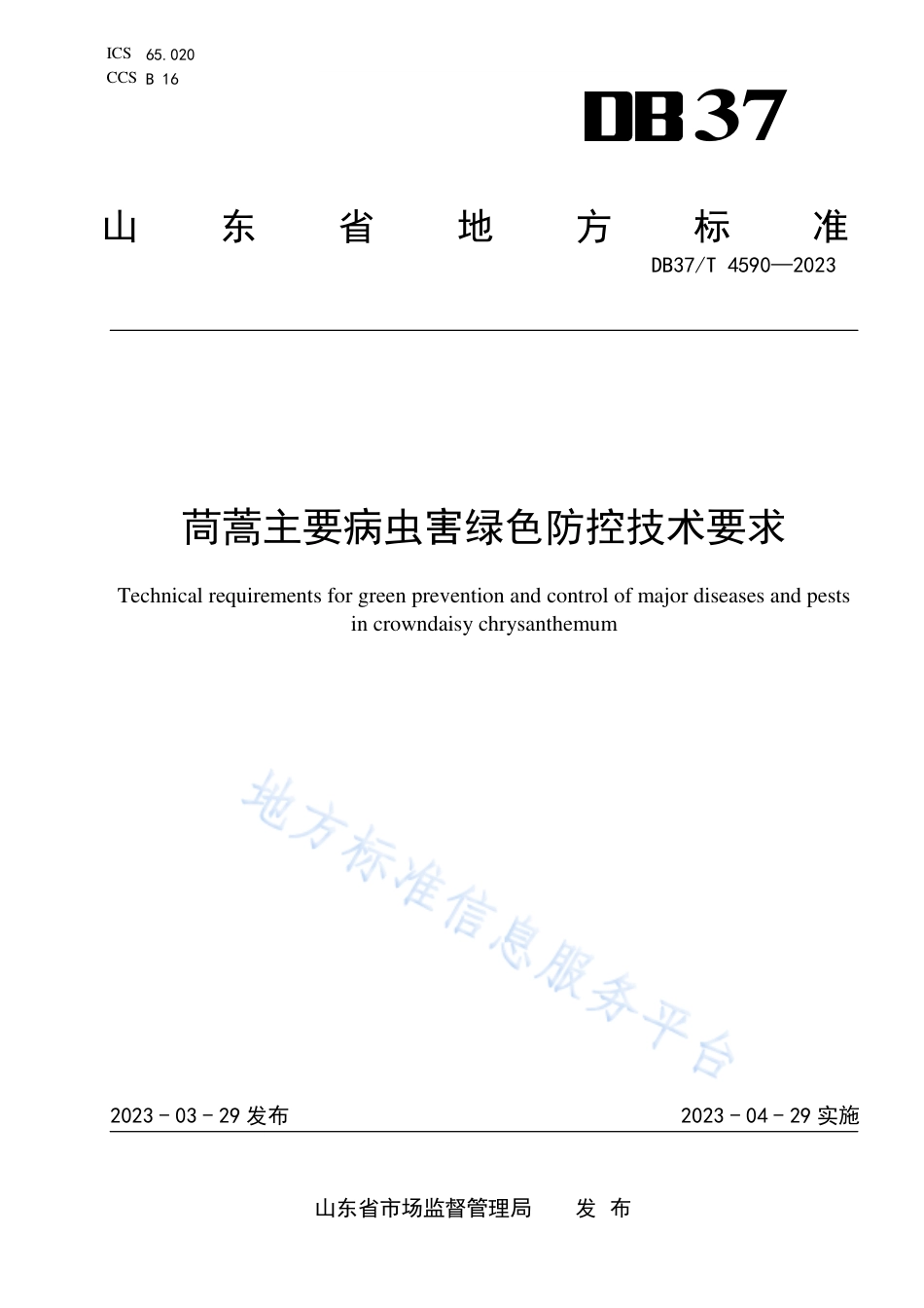 DB37_T 4590—2023茼蒿主要病虫害绿色防控技术要求.pdf_第1页