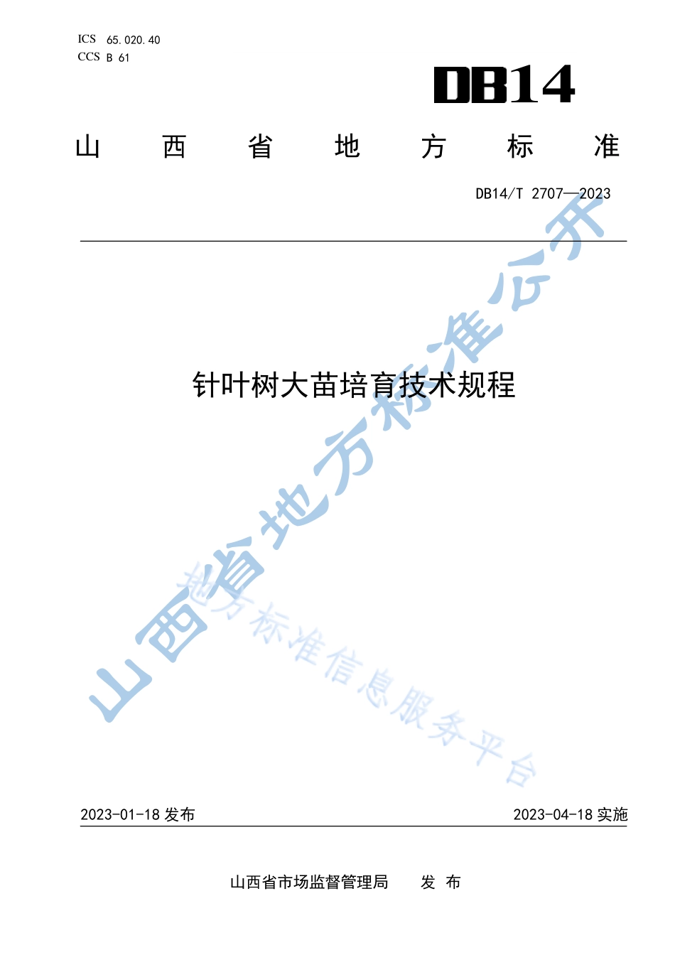 DB14_T 2707—2023针叶树大苗培育技术规程.pdf_第1页