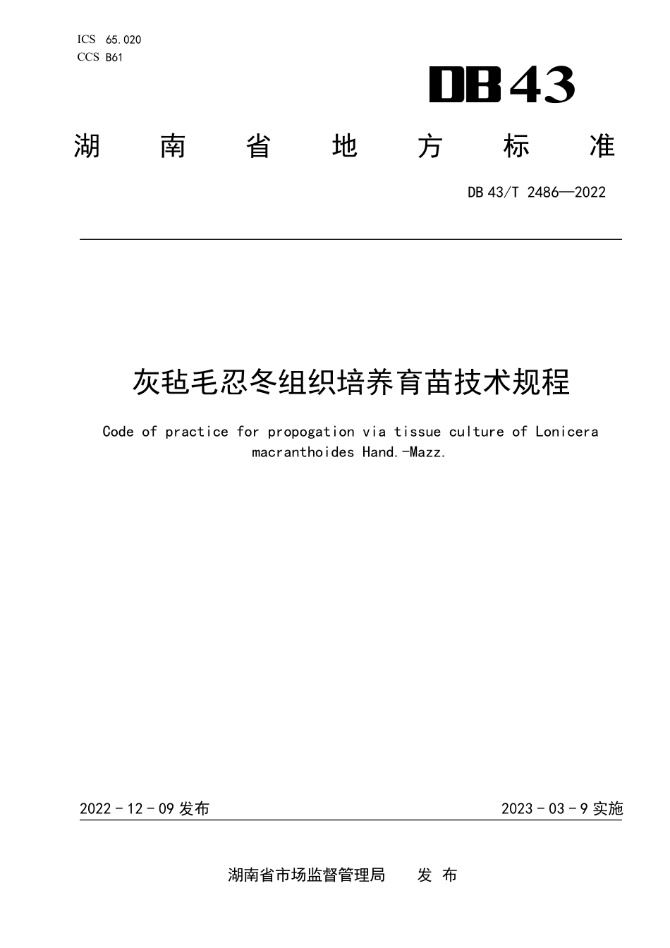 DB43／T 2486-2022灰毡毛忍冬组织培养育苗技术规程.pdf_第1页