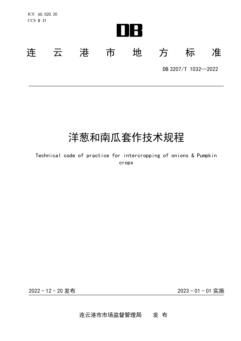 DB3207T 1032—2022洋葱和南瓜套作技术规程.pdf_第1页
