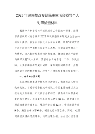 2025年巡察整改专题民主生活会领导个人对照检查材料范文两篇.docx