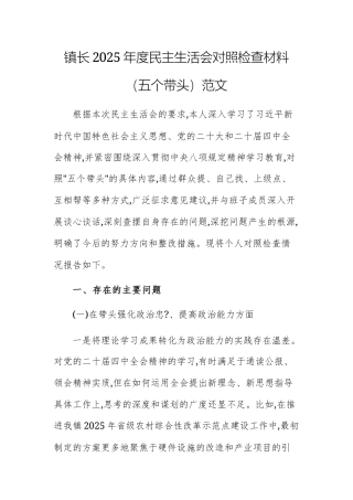 镇长2025年度民主生活会对照检查材料（五个带头）范文.docx