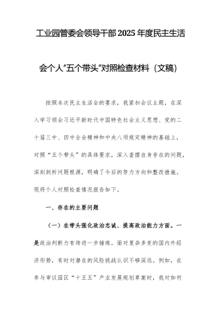 工业园管委会领导干部2025年度民主生活会个人“五个带头”对照检查材料（文稿）.docx