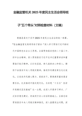 金融监管机关2025年度民主生活会领导班子“五个带头”对照检查材料（文稿）.docx