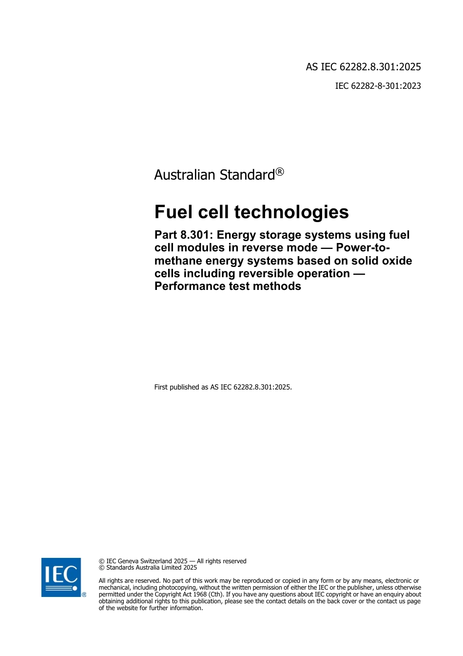 AS IEC 62282.8.301-2025.pdf_第3页