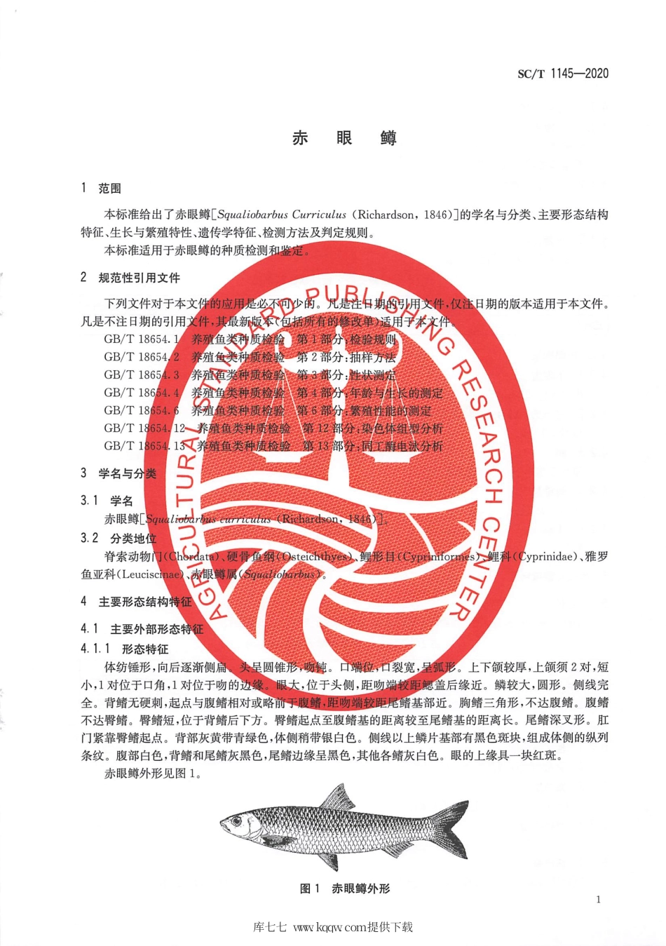 SC∕T 1145-2020 赤眼鳟.pdf_第3页