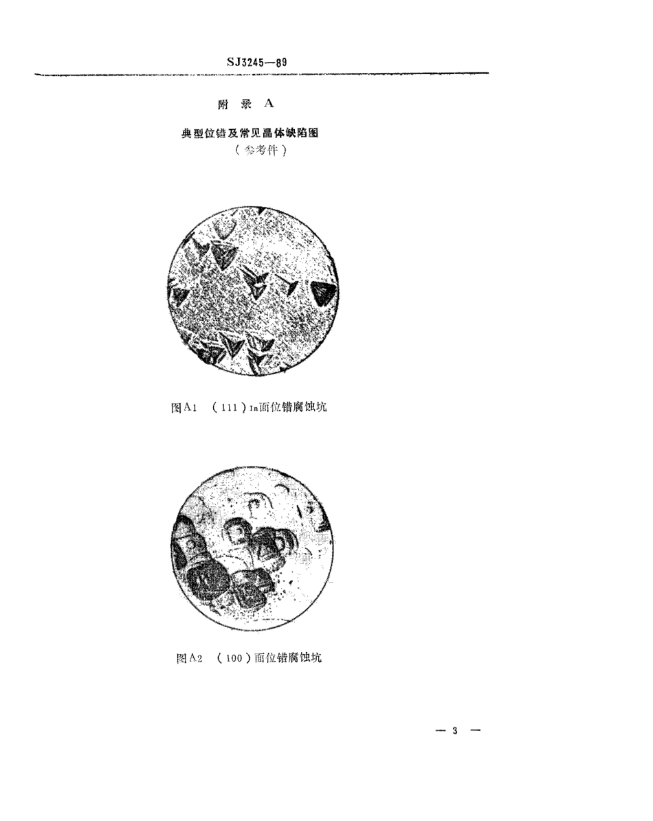 SJ 3245-1989 磷化铟单晶位错的测量方法.pdf_第3页