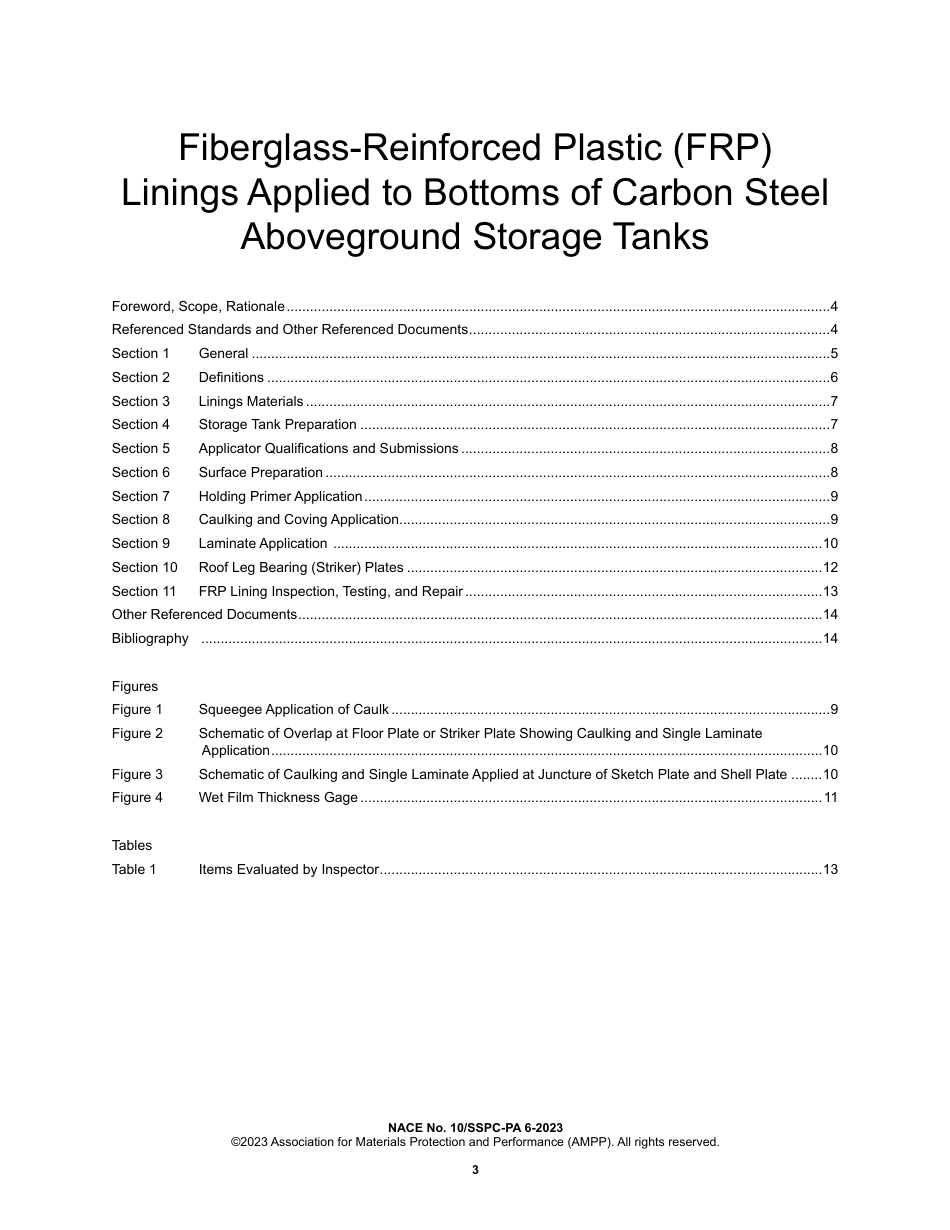 NACE No.10 SSPC-PA 6 2023.pdf_第3页