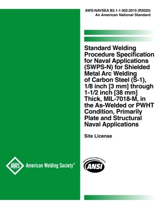AWS-NAVSEA B2.1-1-302-2015 (2025).pdf