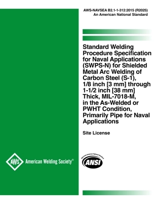 AWS-NAVSEA B2.1-1-312-2015 (2025).pdf