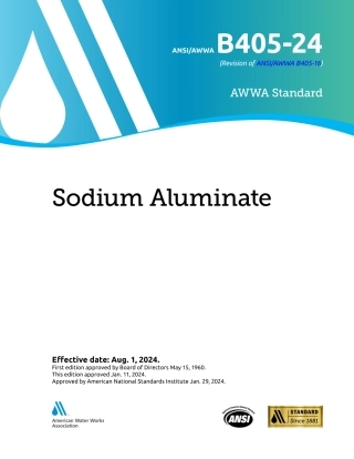 ANSI AWWA B405-24.pdf