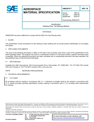 SAE AMS 2816W-2025.pdf