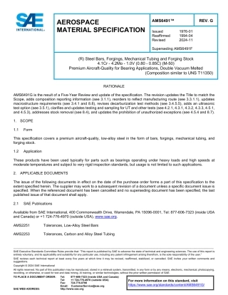 SAE AMS 6491G-2024.pdf