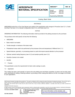SAE AMS 2485M-2024.pdf