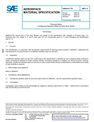 SAE AMS 2431-4E-2024.pdf