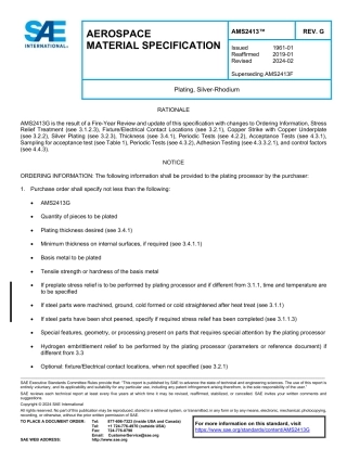 SAE AMS 2413G-2024.pdf