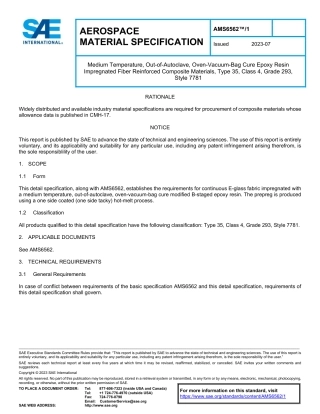 SAE AMS 6562-1-2023.pdf