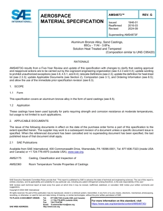 SAE AMS 4873G-2024.pdf