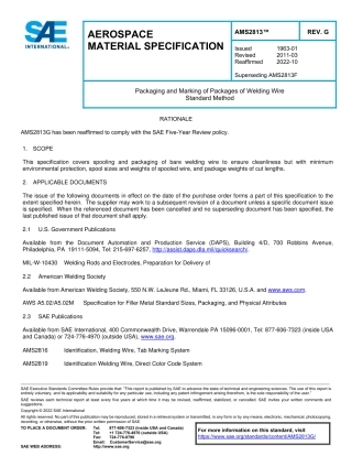 SAE AMS 2813G-2022.pdf