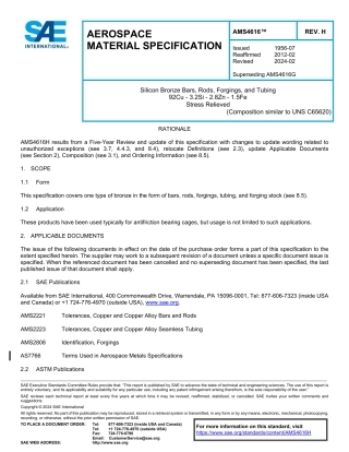 SAE AMS 4616H-2024.pdf
