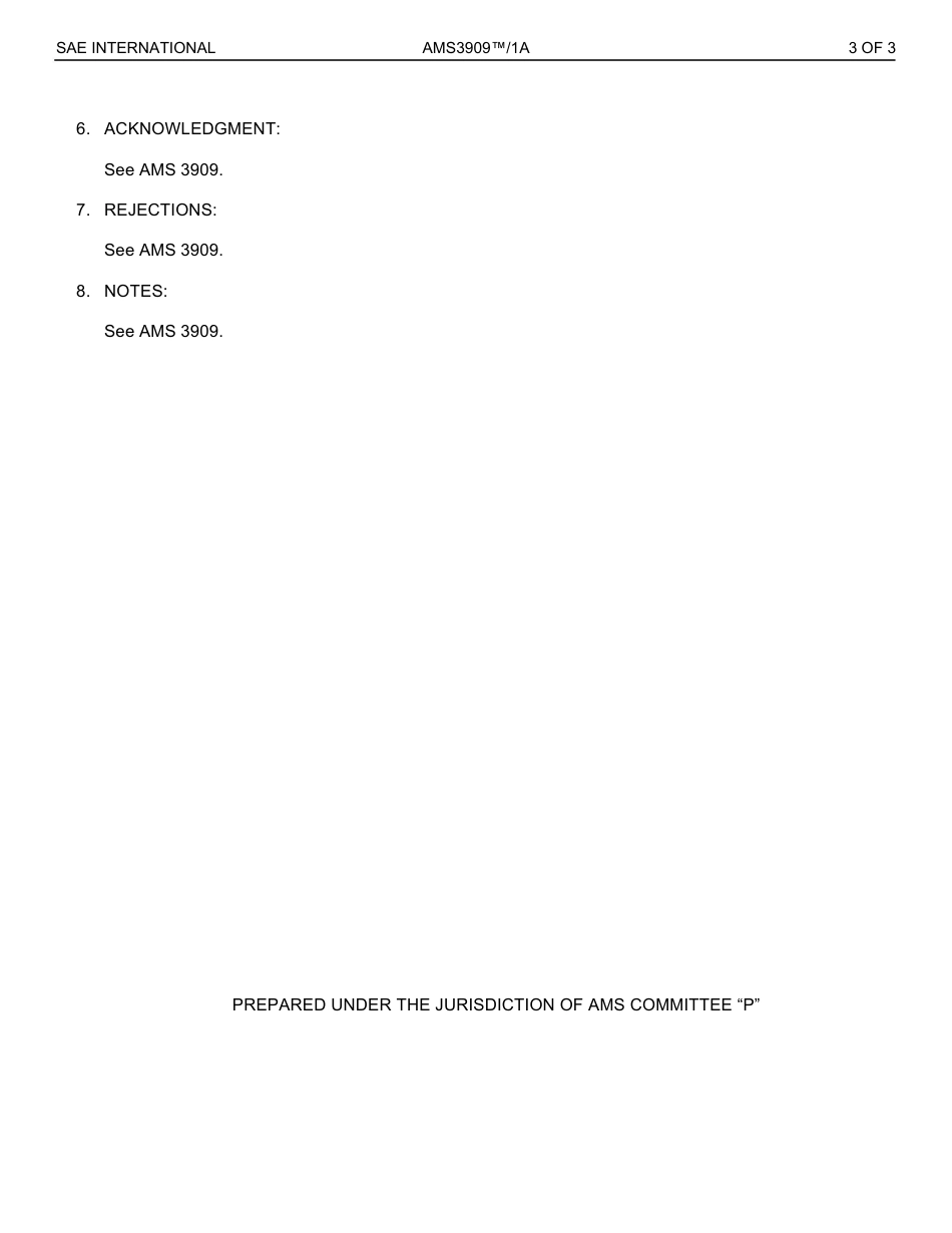 SAE AMS 3909-1A-2022.pdf_第3页