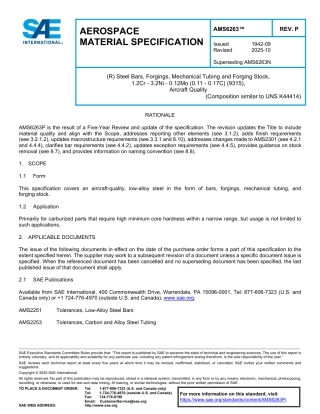 SAE AMS 6263P-2025.pdf