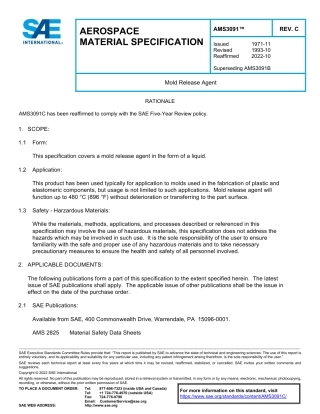 SAE AMS 3091C-2022.pdf