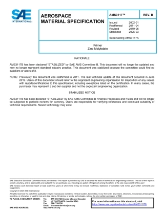 SAE AMS 3117B-2025.pdf