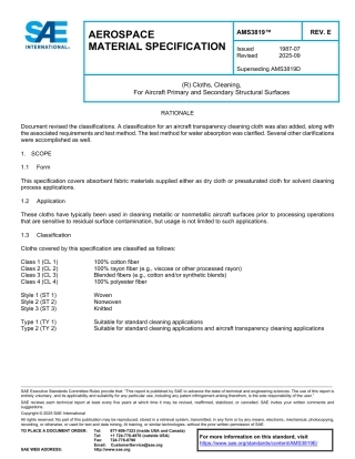 SAE AMS 3819E-2025.pdf