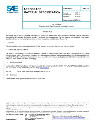 SAE AMS 2809B-2024.pdf