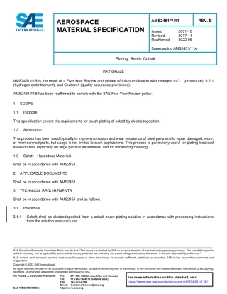 SAE AMS 2451-11B-2022.pdf
