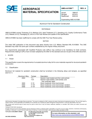 SAE AMS-A-81596A-2025.pdf