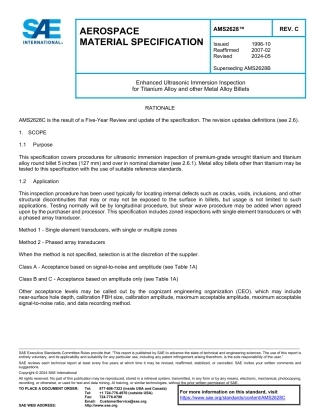 SAE AMS 2628C-2024.pdf