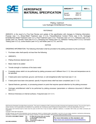 SAE AMS 2401L-2024.pdf