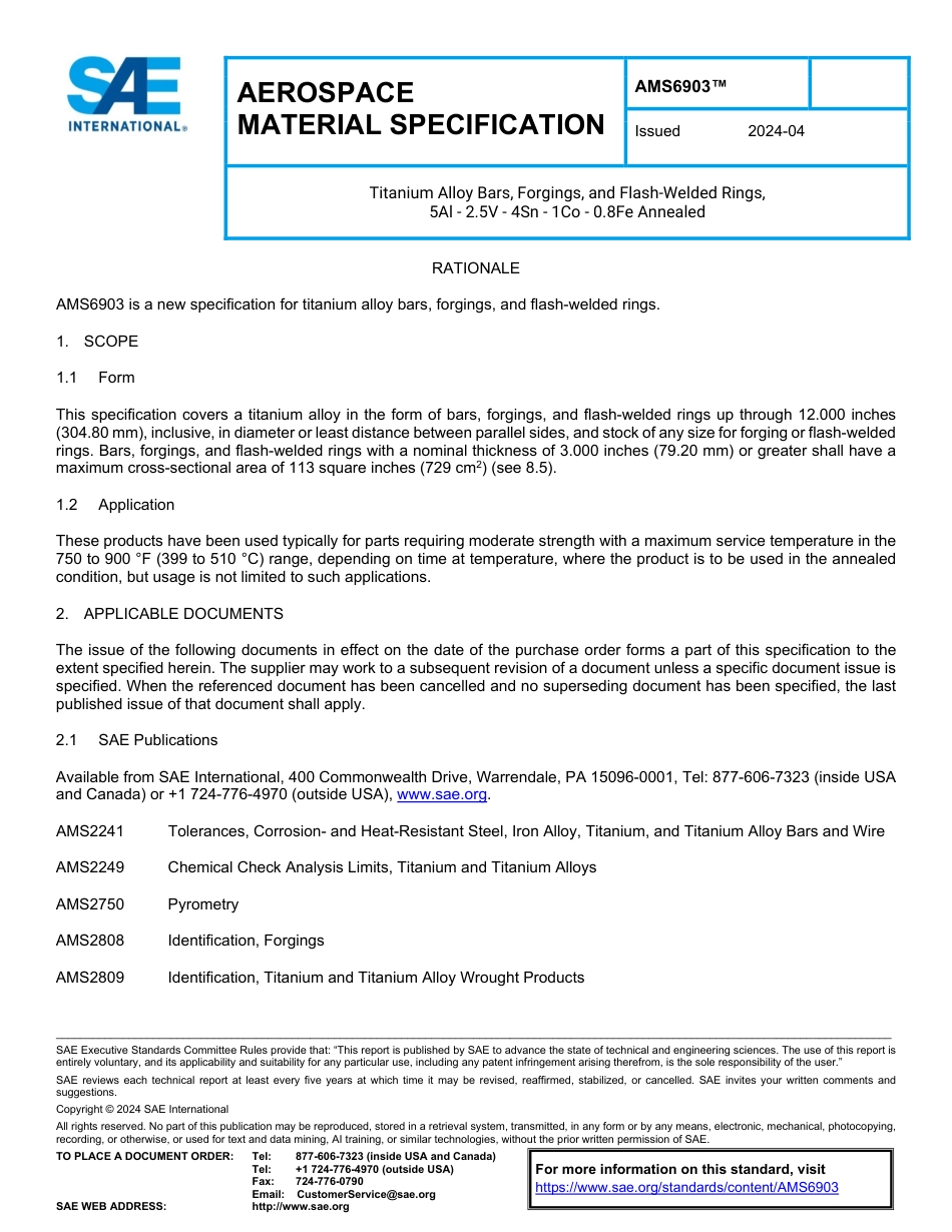 SAE AMS 6903-2024.pdf_第1页