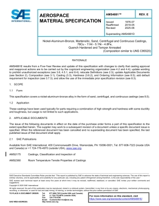 SAE AMS 4881E-2025.pdf