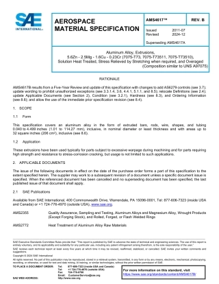 SAE AMS 4617B-2024.pdf