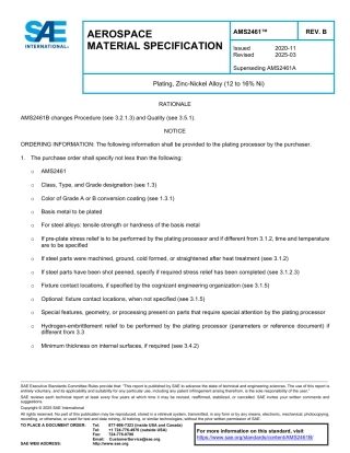 SAE AMS 2461B-2025.pdf