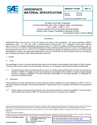 SAE AMS 5934-H1000A-2024.pdf