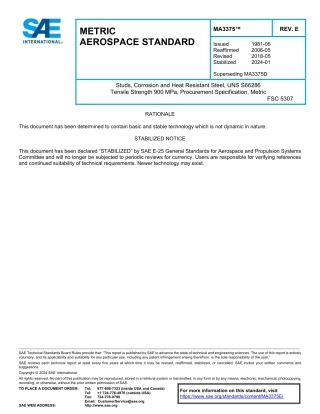 SAE MA 3375E-2024.pdf
