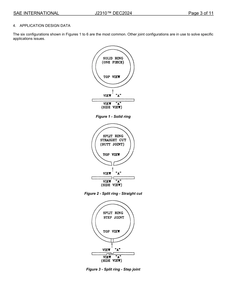 SAE J2310-2024.pdf_第3页