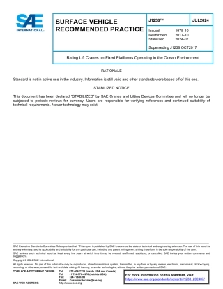 SAE J1238-2024.pdf