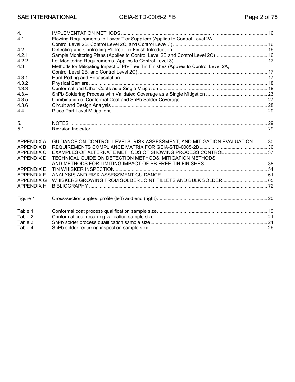 SAE GEIA-STD-0005-2B-2025.pdf_第2页
