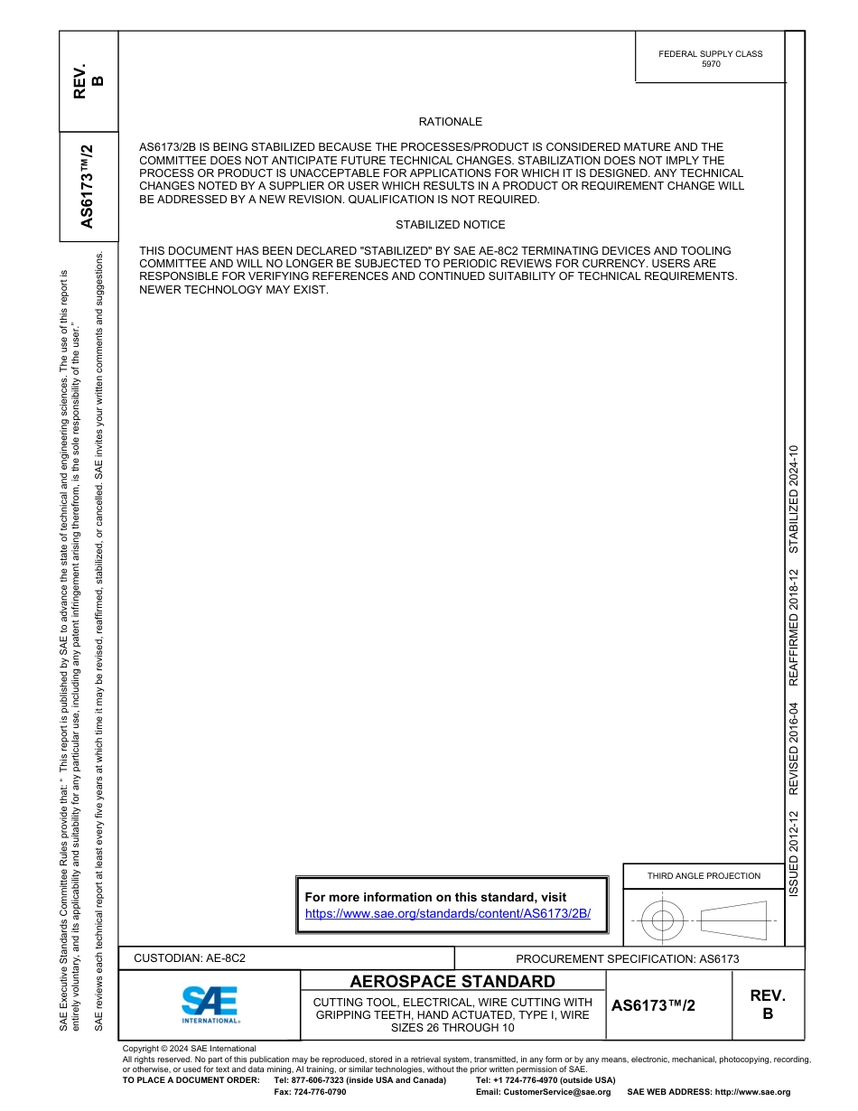 SAE AS6173-2B-2024.pdf_第1页