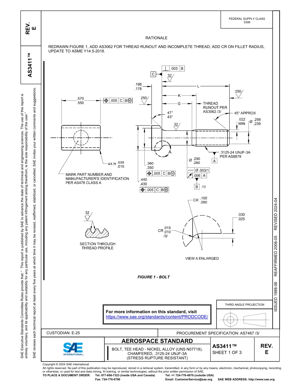 SAE AS3411E-2024.pdf_第1页