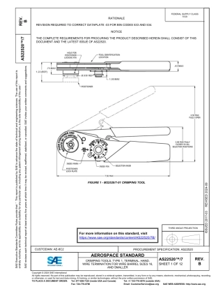 SAE AS22520-7B-2024.pdf