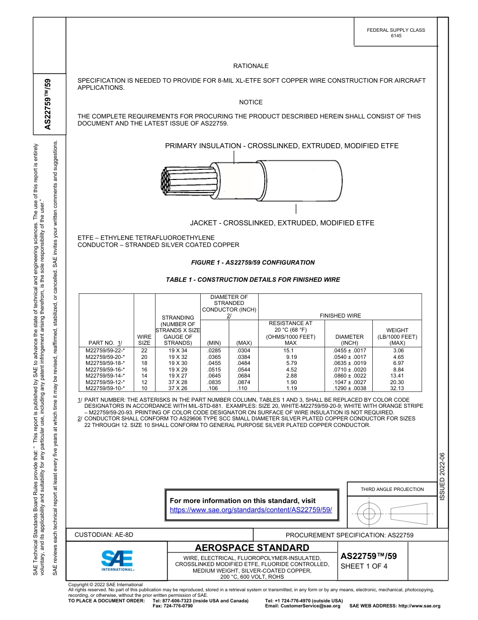 SAE AS22759-59-2022.pdf_第1页