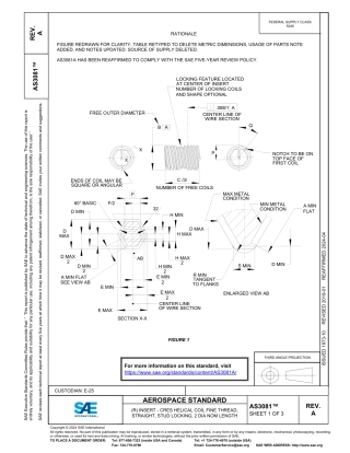 SAE AS3081A-2024.pdf