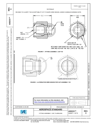 SAE AS5233C-2025.pdf