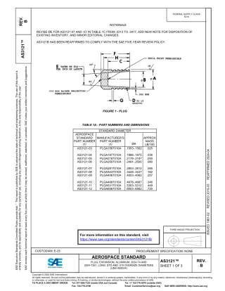 SAE AS3121B-2024.pdf
